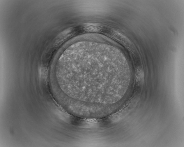 X0000110890409200907091358