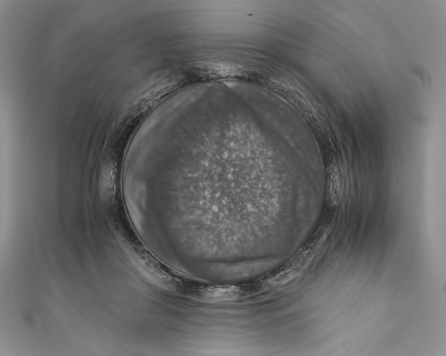 X0000110890410200907091358