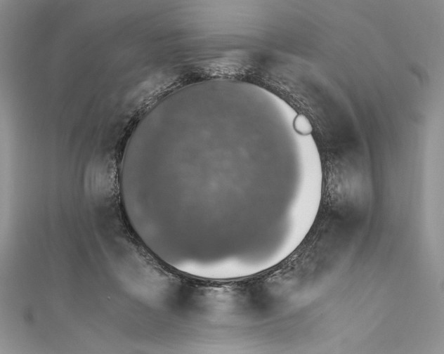 X0000110890411200907091358