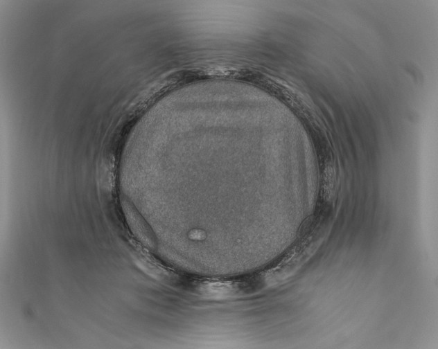 X0000110890413200907091358