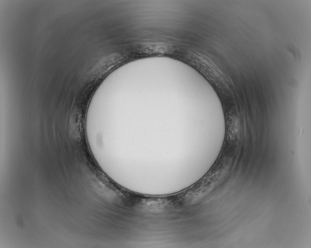 X0000110890414200907091358