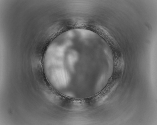 X0000110890415200907091358