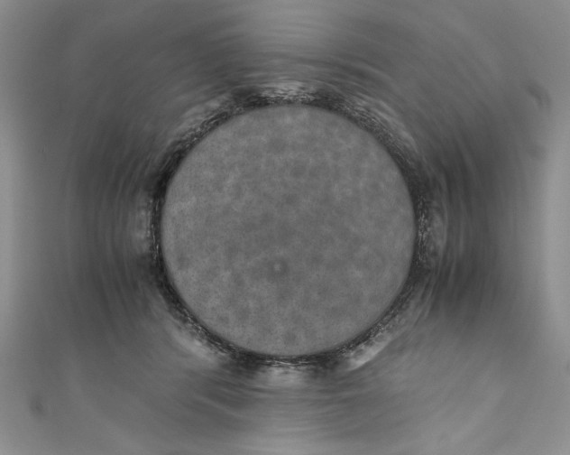 X0000110890416200907091358