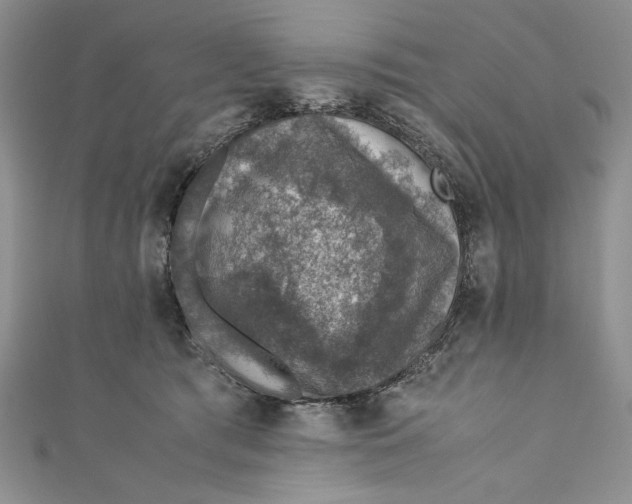 X0000110890417200907091358