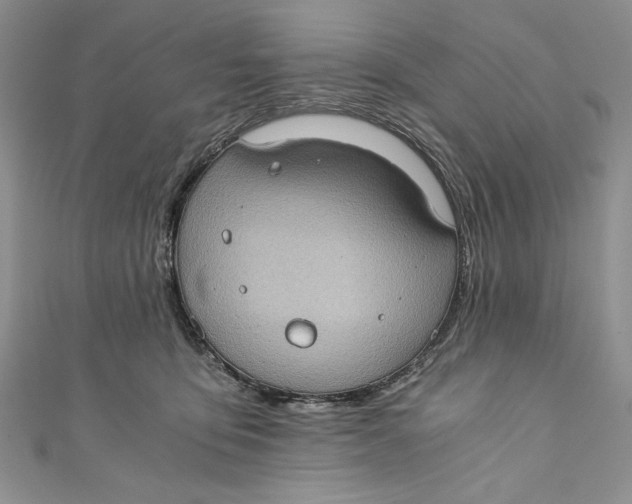 X0000110890419200907091358