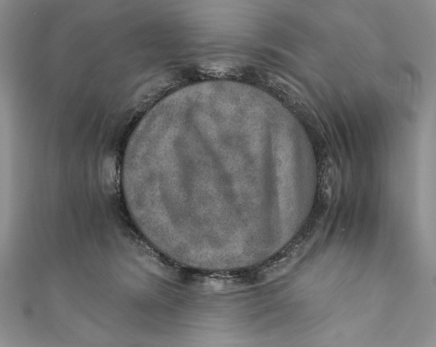 X0000110890420200907091358