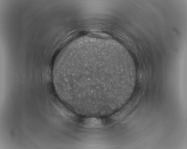 X0000110890421200907091358