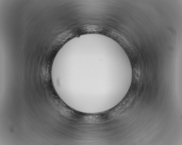 X0000110890422200907091358