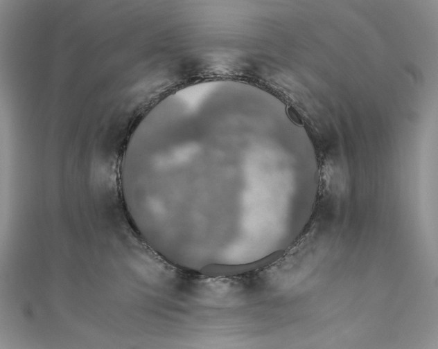 X0000110890423200907091358