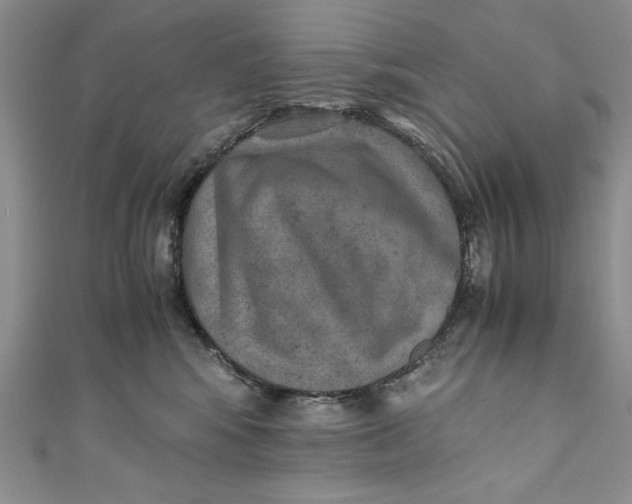 X0000110890424200907091358