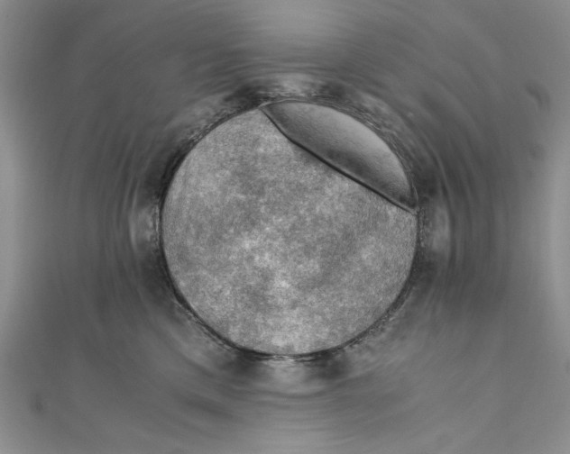 X0000110890425200907091358