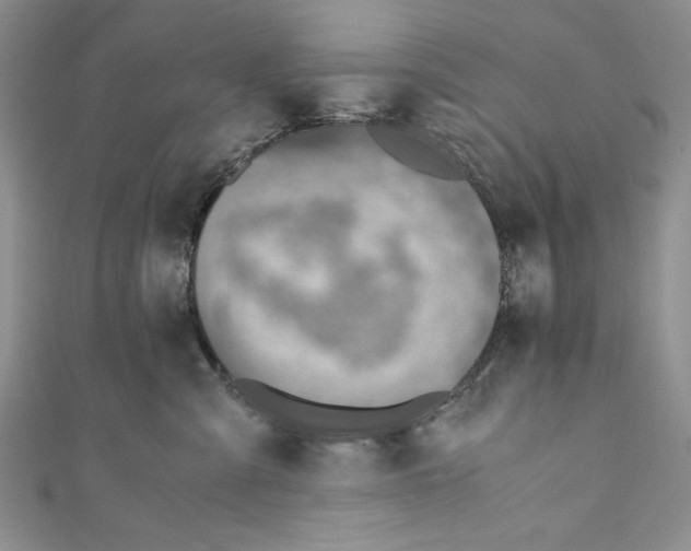 X0000110890427200907091358