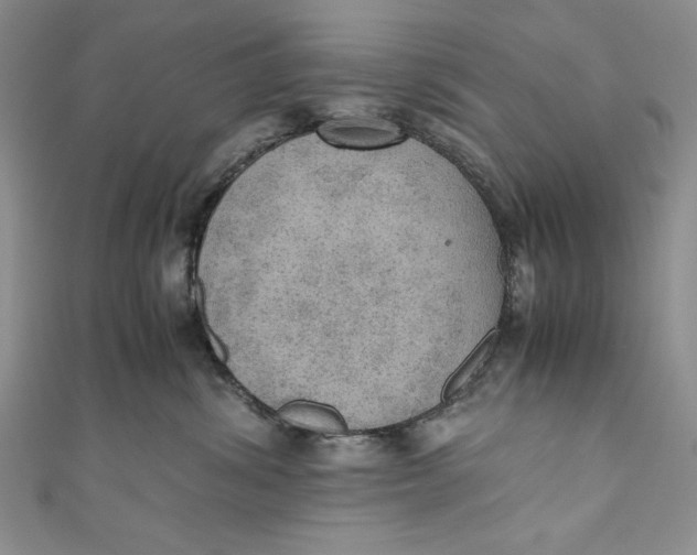 X0000110890428200907091358