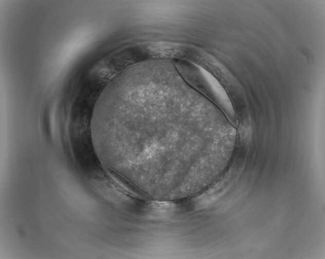 X0000110890429200907091358