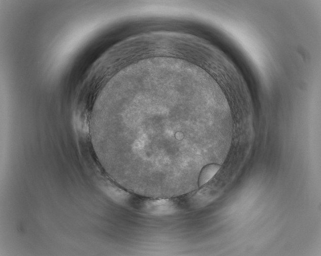 X0000110890431200907091358