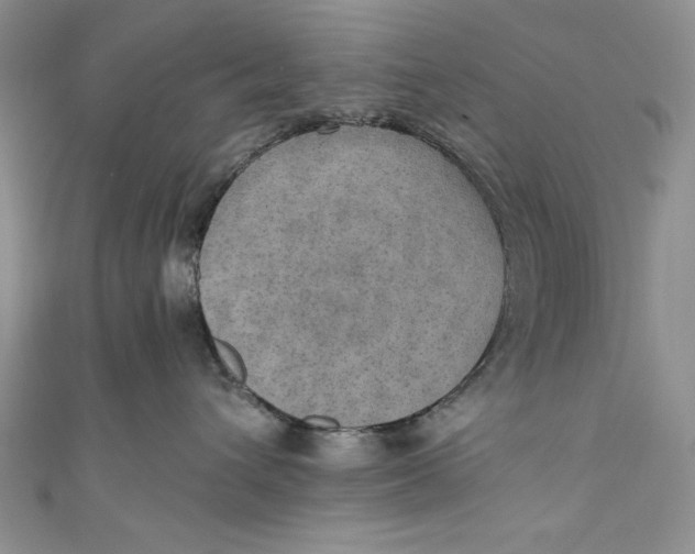 X0000110890432200907091358