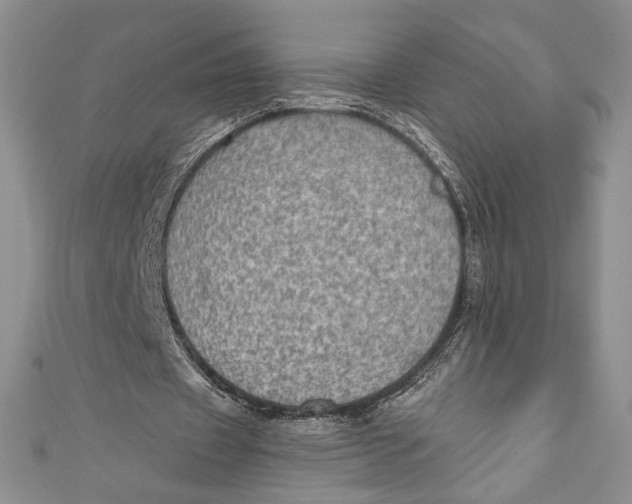 X0000110890433200907091357