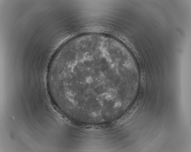 X0000110890434200907091357