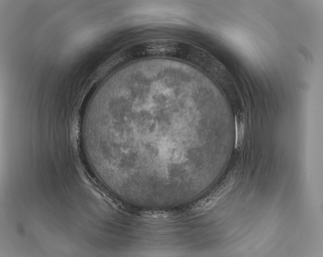 X0000110890435200907091357