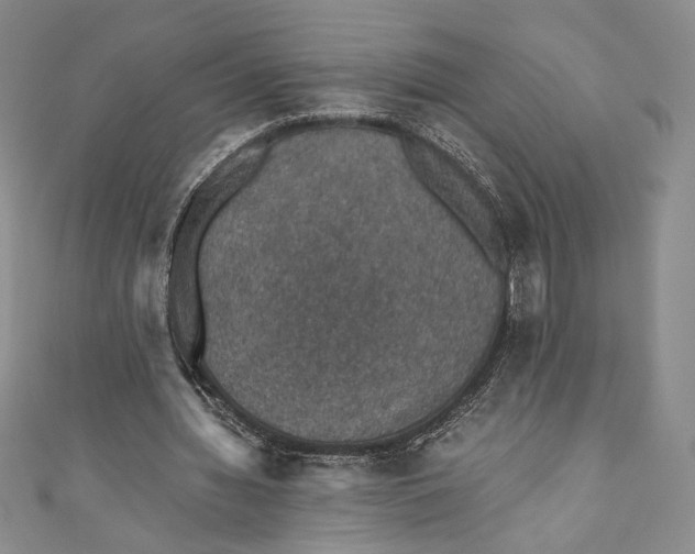 X0000110890436200907091357