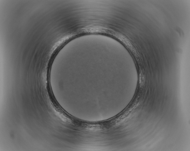 X0000110890438200907091357