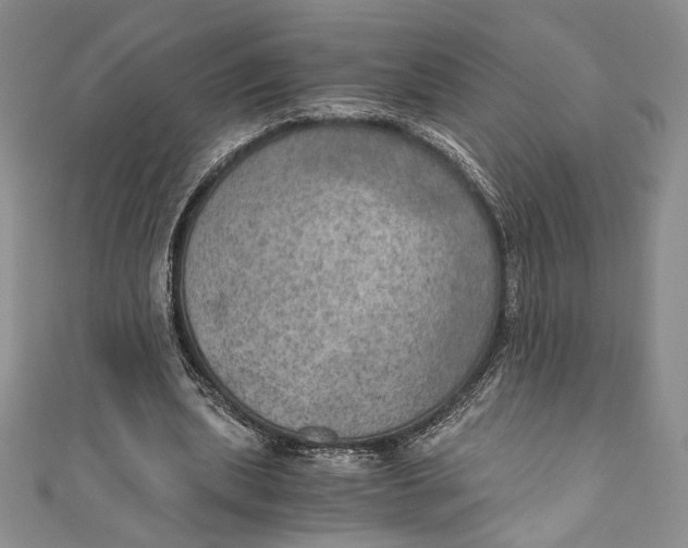 X0000110890439200907091357