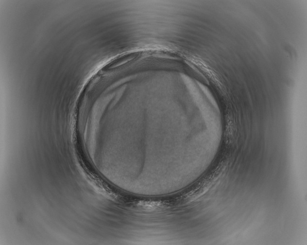 X0000110890440200907091357