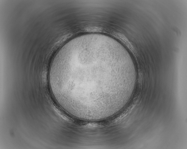 X0000110890441200907091357