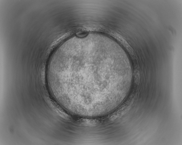 X0000110890442200907091357