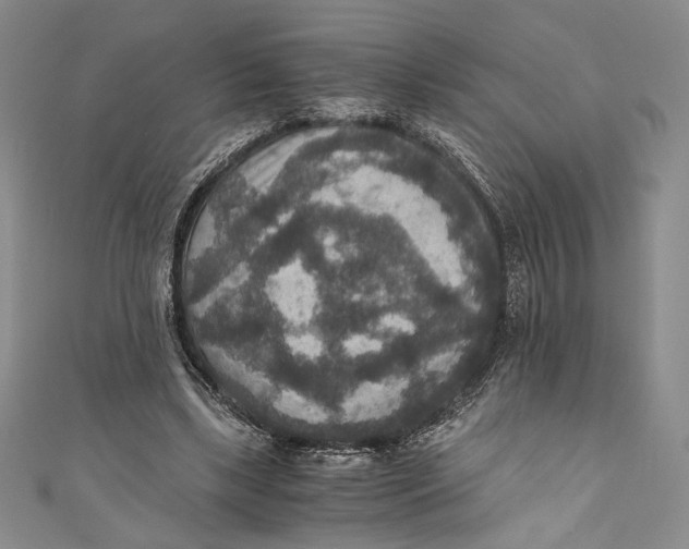 X0000110890443200907091357