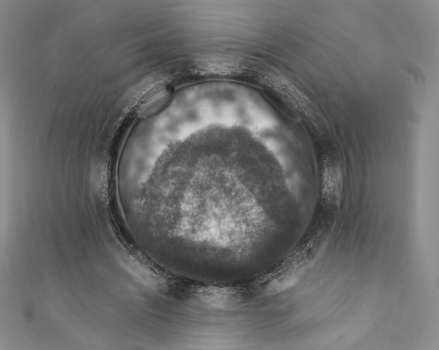 X0000110890444200907091357