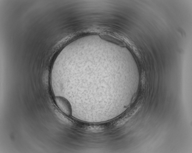 X0000110890445200907091357