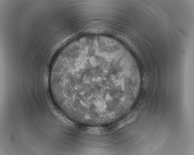 X0000110890446200907091357