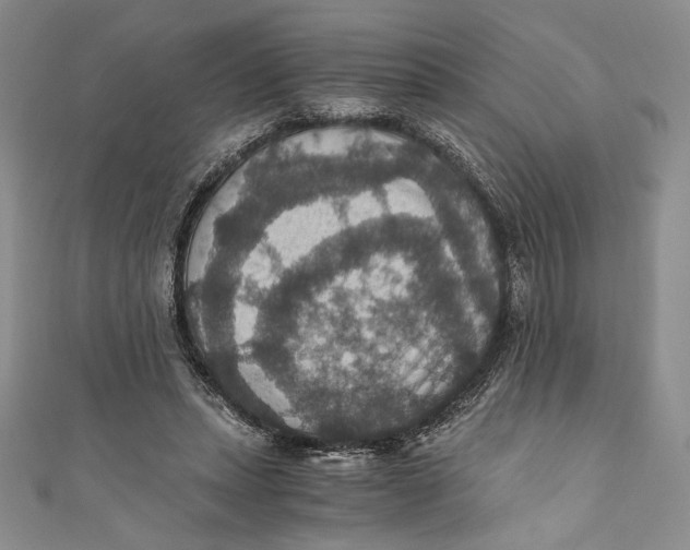 X0000110890447200907091357