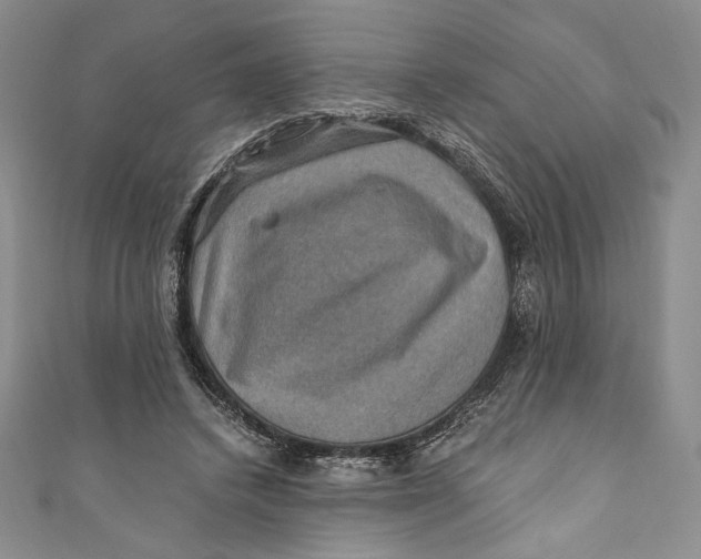 X0000110890448200907091357