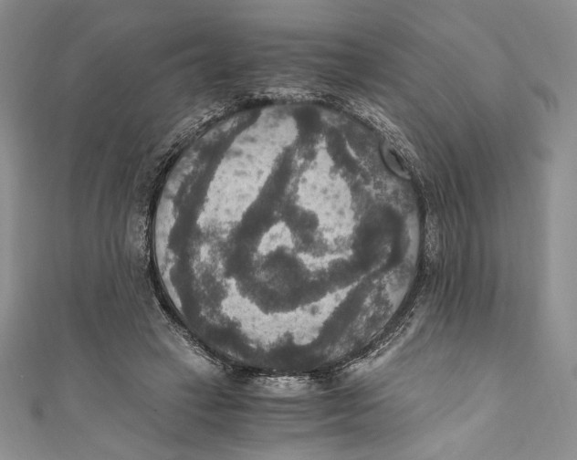 X0000110890449200907091357