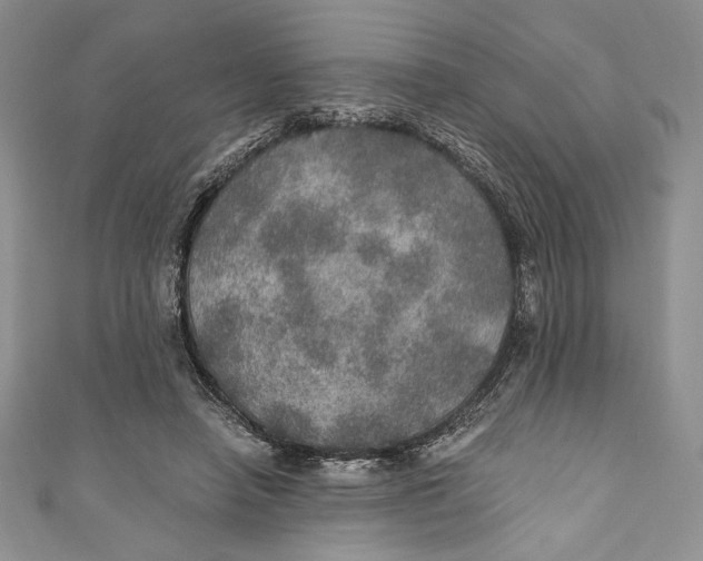 X0000110890450200907091358