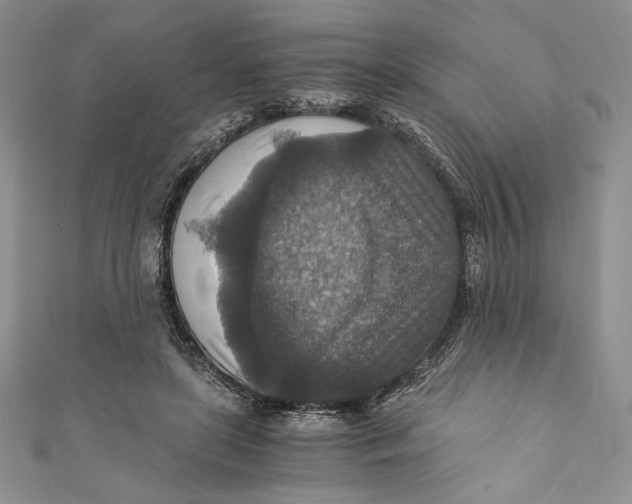 X0000110890451200907091358