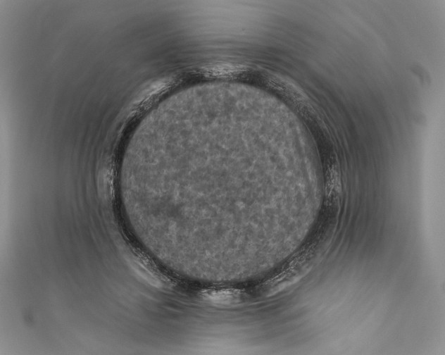 X0000110890452200907091358