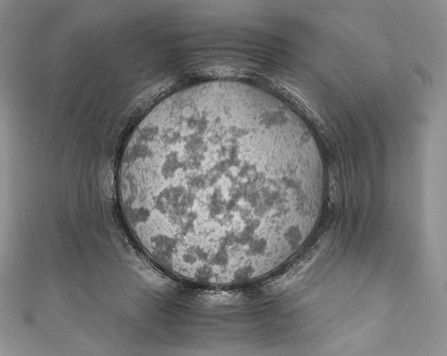 X0000110890453200907091358