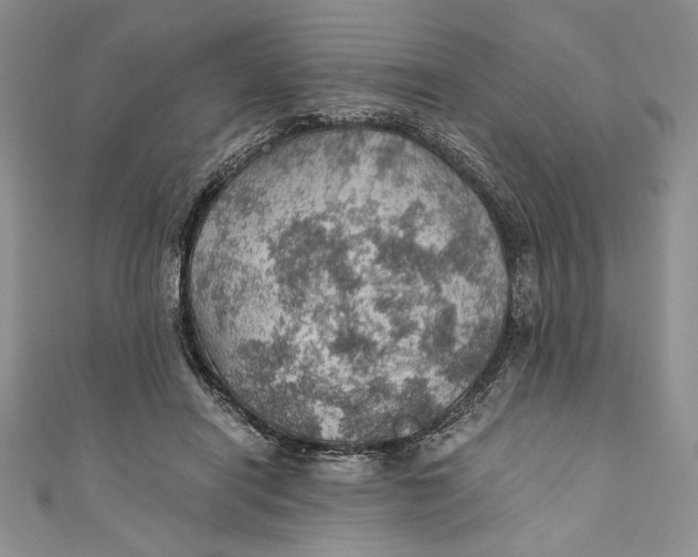 X0000110890454200907091358