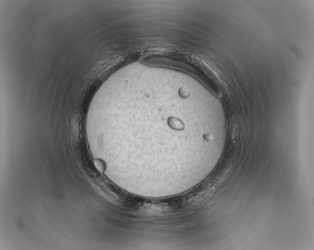 X0000110890455200907091358