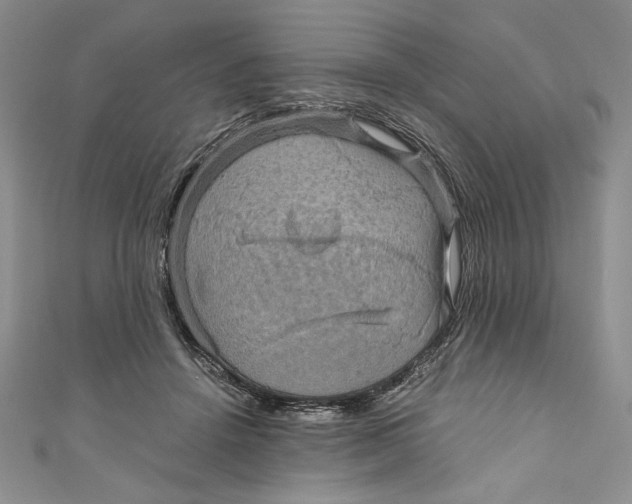 X0000110890456200907091358