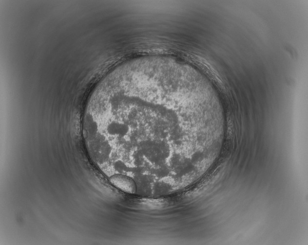 X0000110890457200907091358