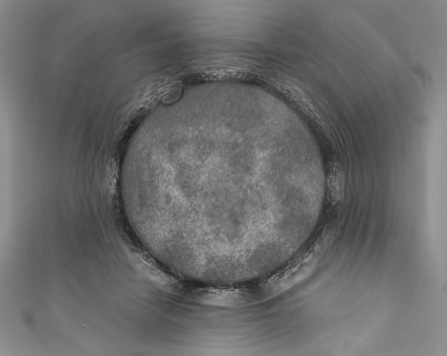 X0000110890458200907091358