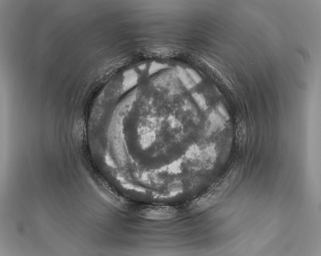 X0000110890459200907091358