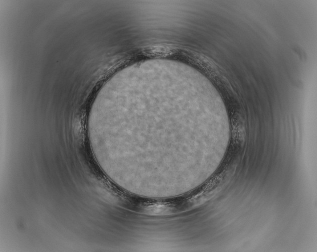 X0000110890460200907091358