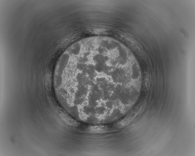 X0000110890461200907091358