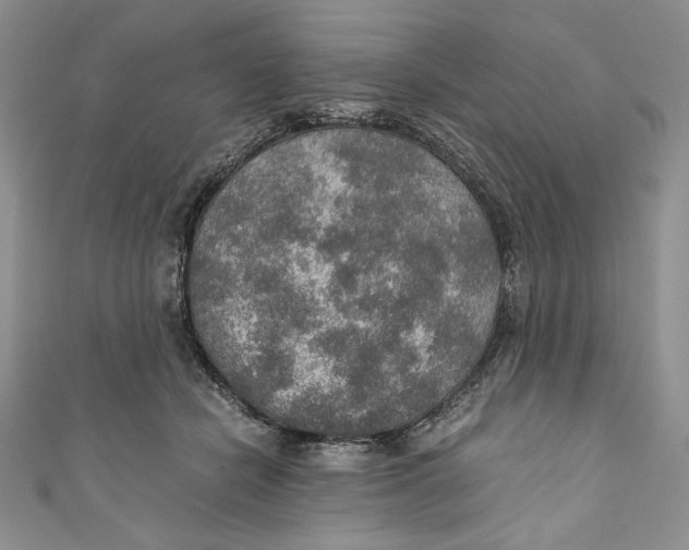 X0000110890462200907091358