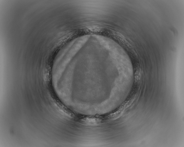 X0000110890464200907091358